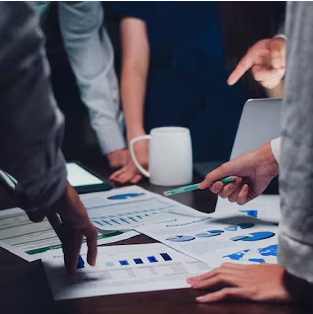 Project Management Consultancy