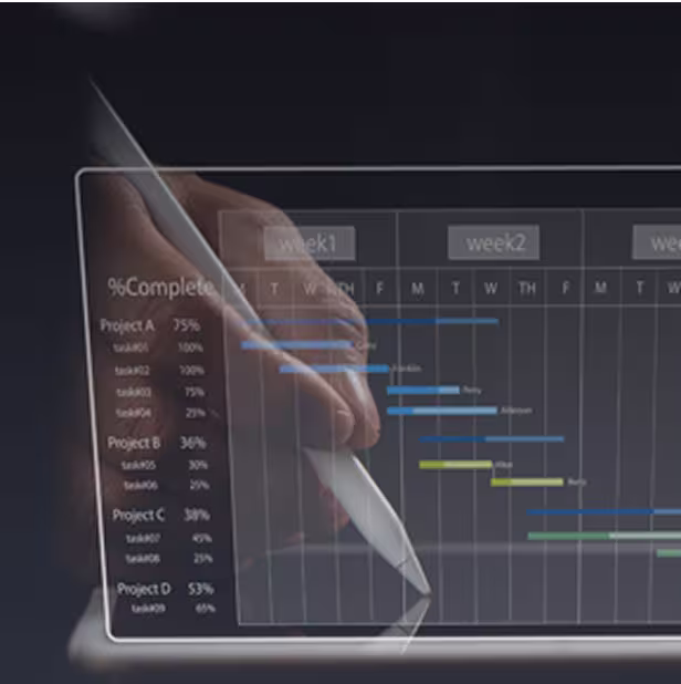 Project Management Information System