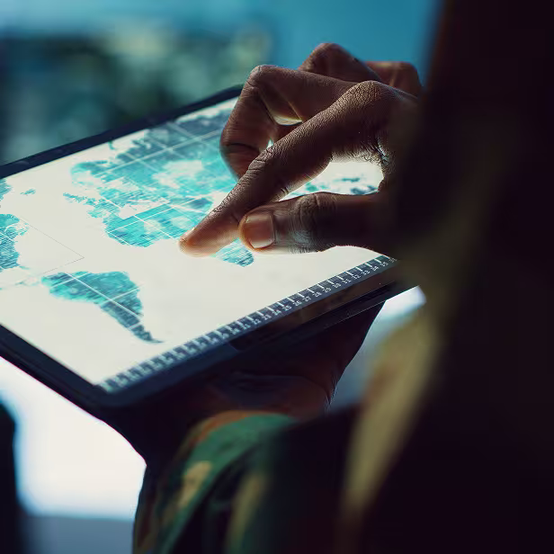 GIS Integration and Consulting